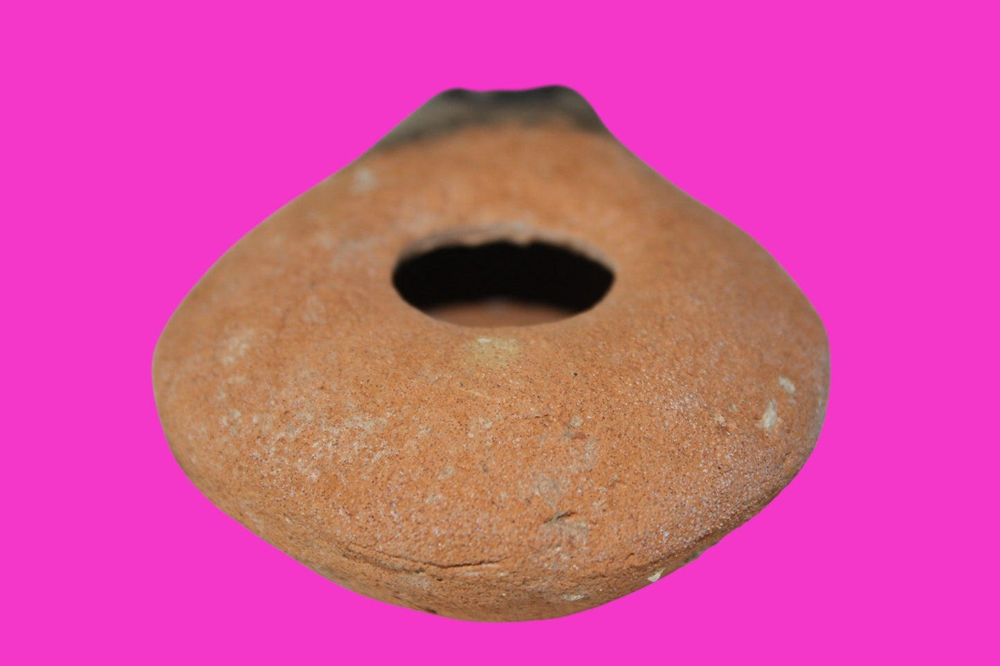 Ancient Holy Land Oil Lamp Artifact Jesus Christ Home Land 100BC-100AD COA 49