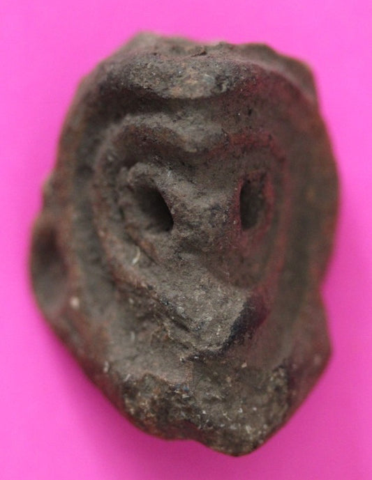 Puerto Rico Taino Pre Columbian Pottery Artifact FREE Display Case 1000AD COA 48