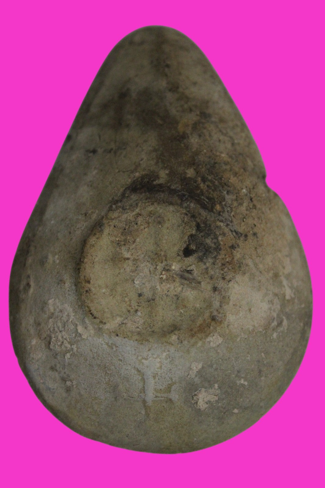 Ancient Holy Land Oil Lamp Artifact  From Jesus Christ Homeland 400-600AD COA 35