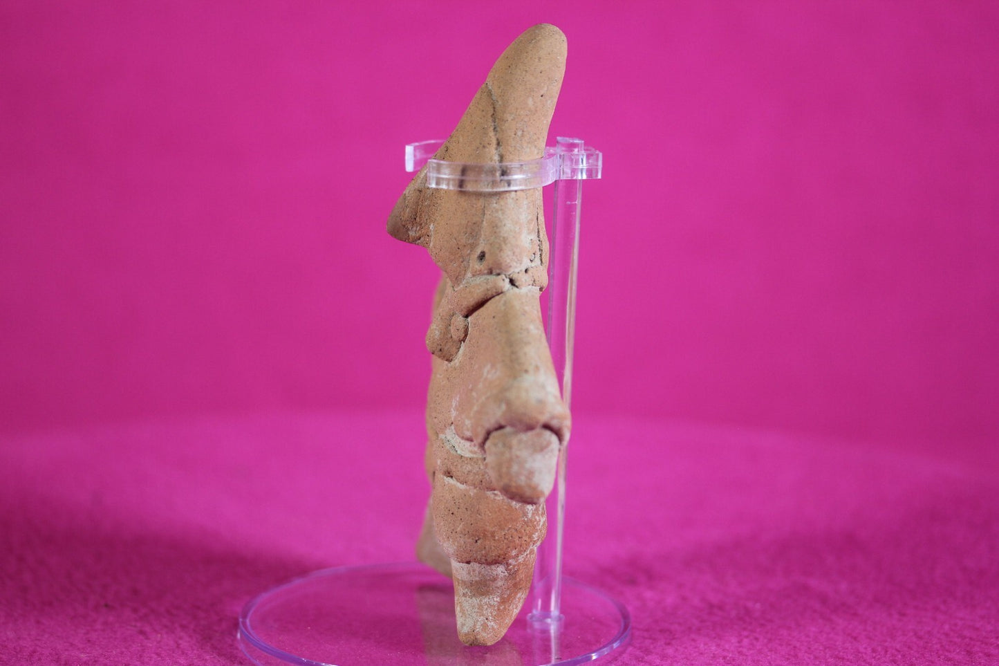 Pre Columbian Artifact Authentic Tomb Figure Colima Ex Arte Primitivo COA T80