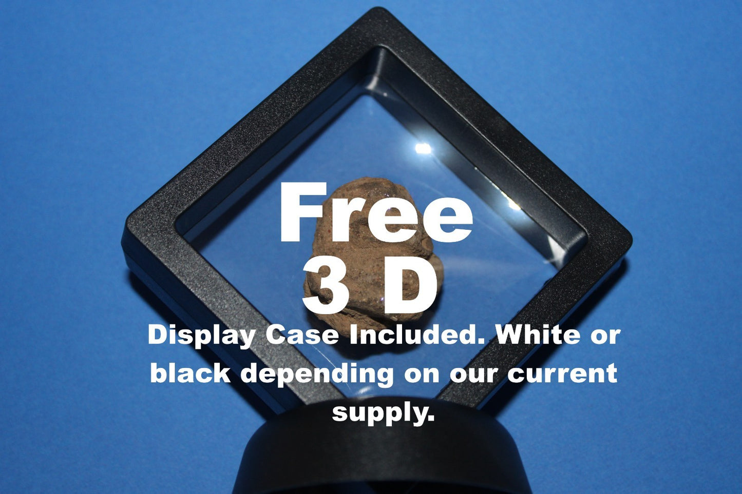 Puerto Rico Taino Pre Columbian Pottery Artifact FREE Display Case 1000AD COA 83