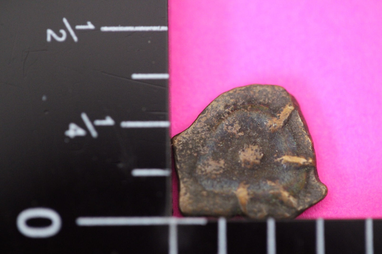 Widows Mite Coin Holy Land Artifact Jesus Christ Lifetime Free Display Frame 021