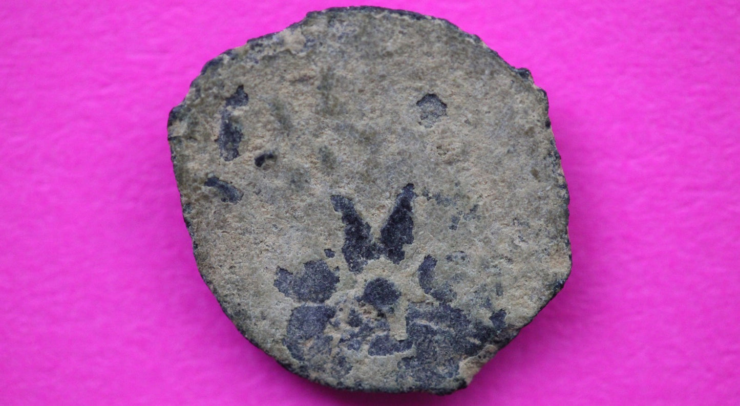 Widows Mite Coin Holy Land Artifact Free Display Frame Jesus Christ Lifetime 168