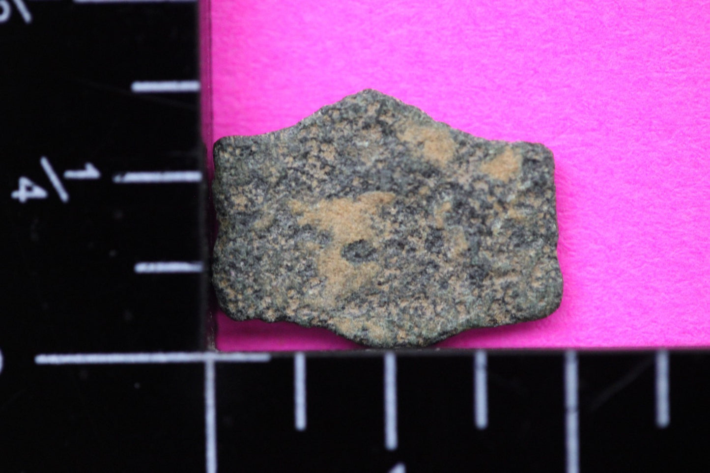 Widows Mite Coin Holy Land Artifact Free Display Frame Jesus Christ Lifetime 217