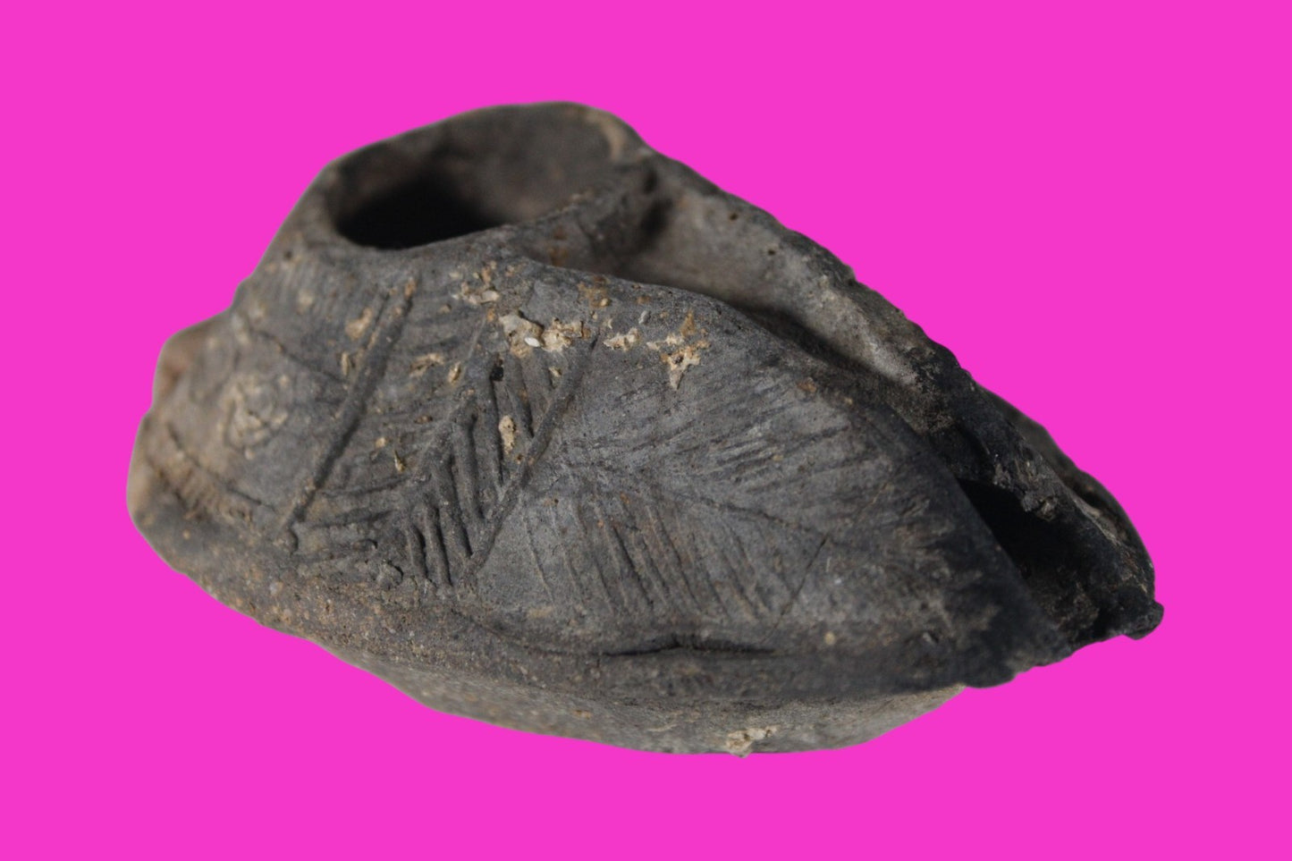 Oil Lamp Holy Land Ancient Artifact Jesus Christ Home Israel 300-600 AD COA 95