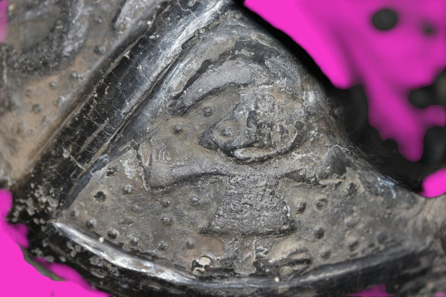 Pre Columbian Artifact Authentic Chimu Warrior Vessel 900-1400 AD Peru COA 222