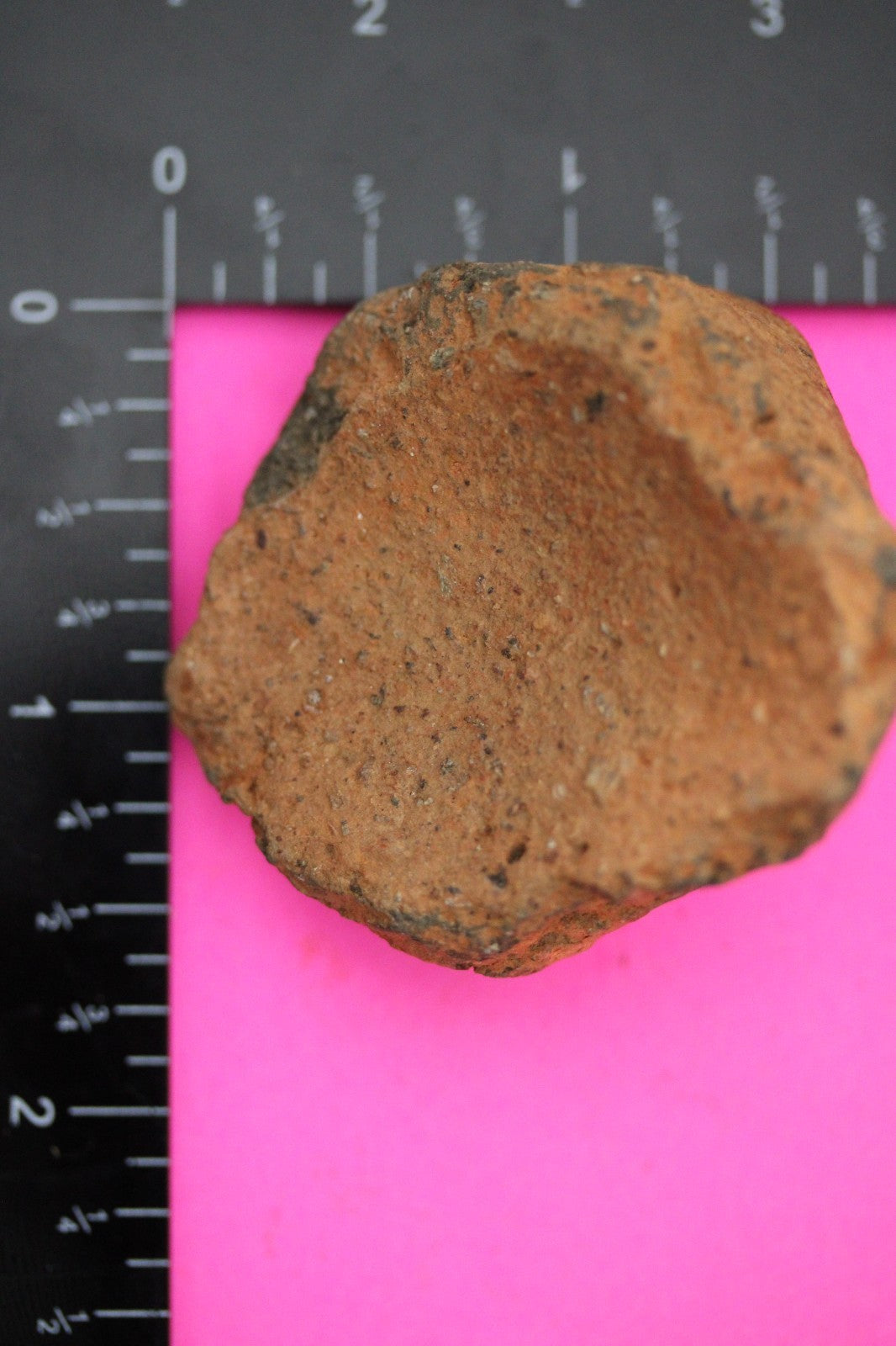 Puerto Rico Taino Pre Columbian Pottery Artifact FREE Display Case 1000AD COA 56