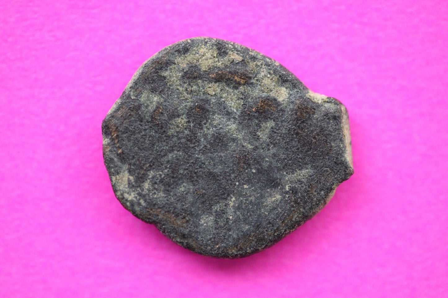 Widows Mite Coin Holy Land Artifact Free Display Frame Jesus Christ Lifetime 77