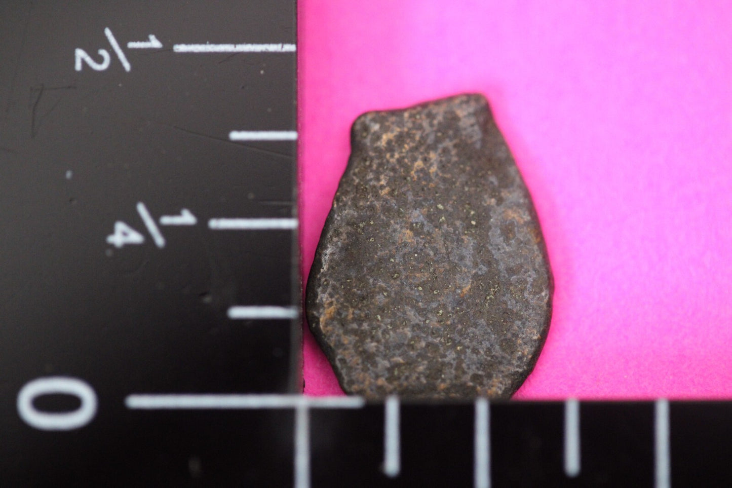 Widows Mite Coin Holy Land Artifact Jesus Christ Lifetime Free Display Frame 025