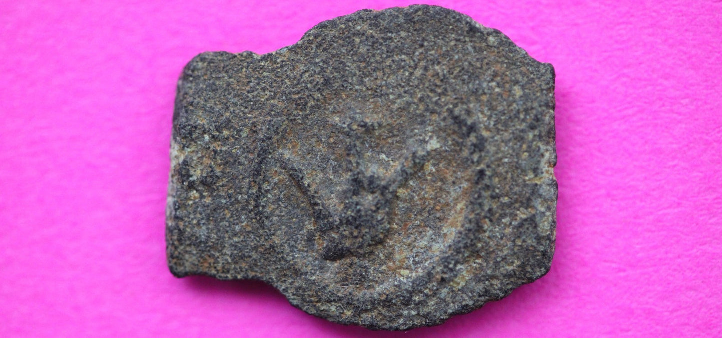 Widows Mite Coin Holy Land Artifact Free Display Frame Jesus Christ Lifetime 206