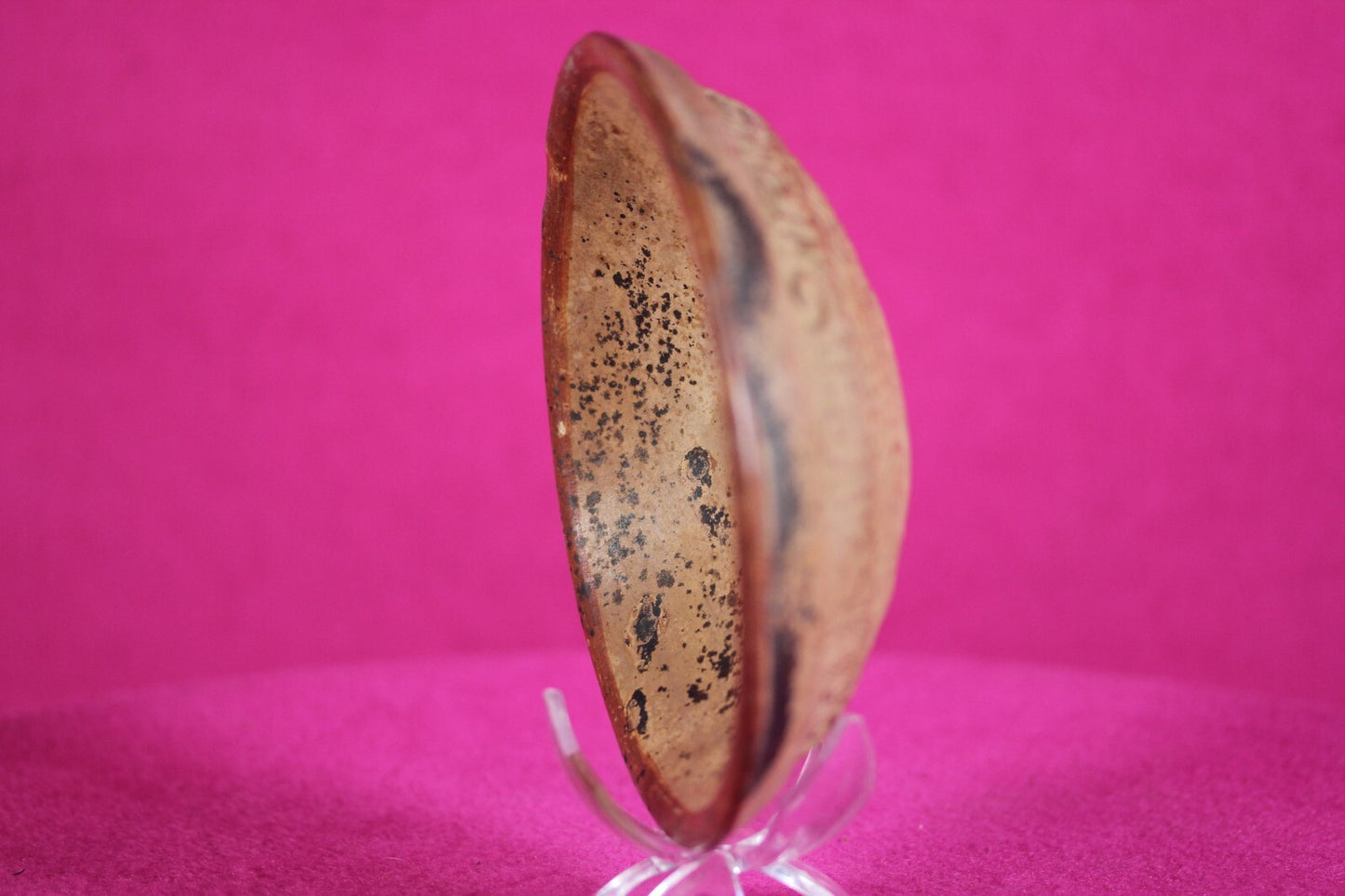 Authentic Pre Columbian Artifact Mayan Molded Bowl Yucatan 250-900 AD COA J98