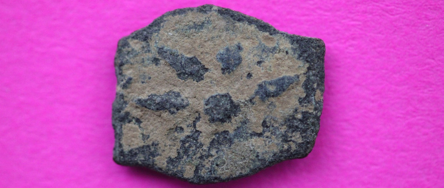 Widows Mite Coin Holy Land Artifact Free Display Frame Jesus Christ Lifetime 33