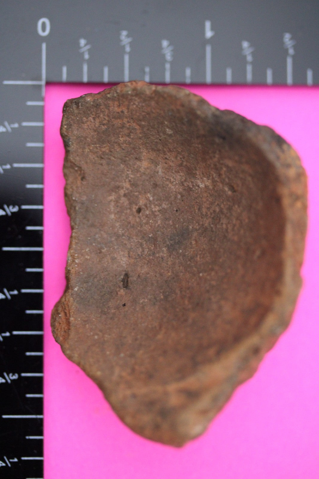 Puerto Rico Taino Pre Columbian Pottery Artifact FREE Display Case 1000AD COA 02