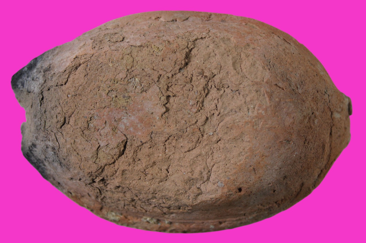 Oil Lamp Holy Land Ancient Artifact Jesus Christ Home Israel 300-600 AD COA 110