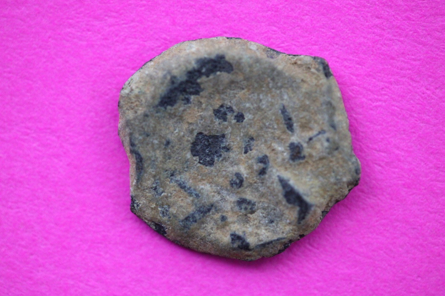 Widows Mite Coin Holy Land Artifact Free Display Frame Jesus Christ Lifetime 56