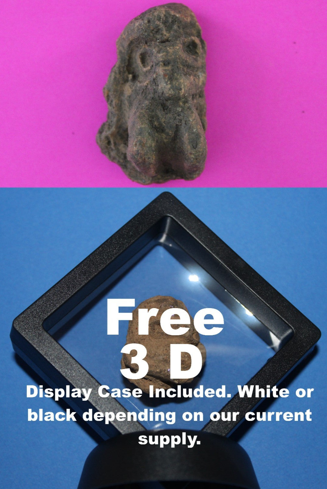 Puerto Rico Taino Pre Columbian Pottery Artifact FREE Display Case 1000AD COA 93