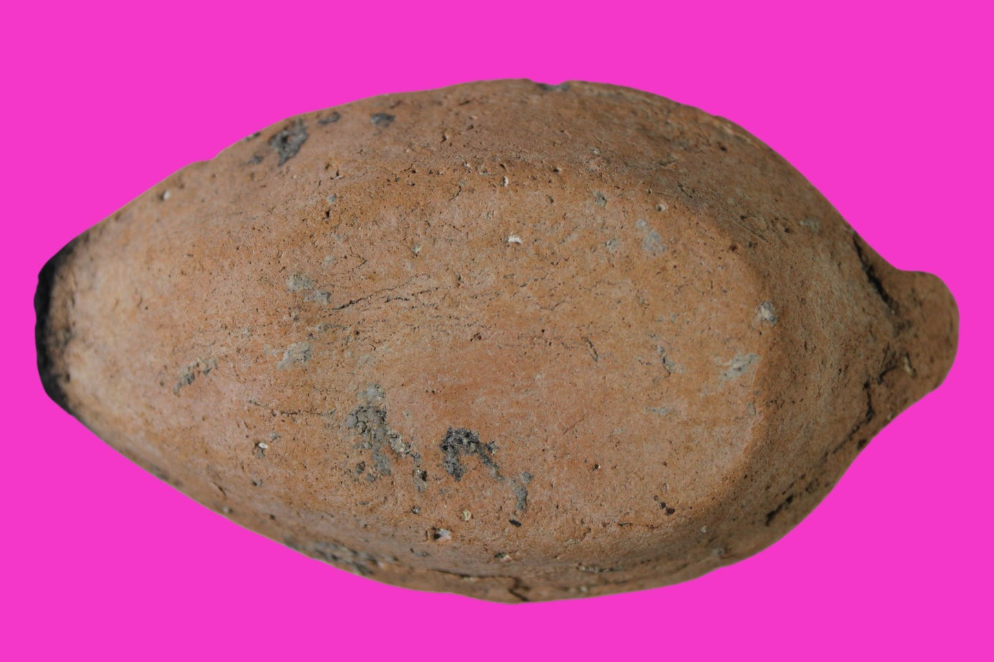 Oil Lamp Holy Land Ancient Artifact Jesus Christ Home Israel 300-600 AD COA 123