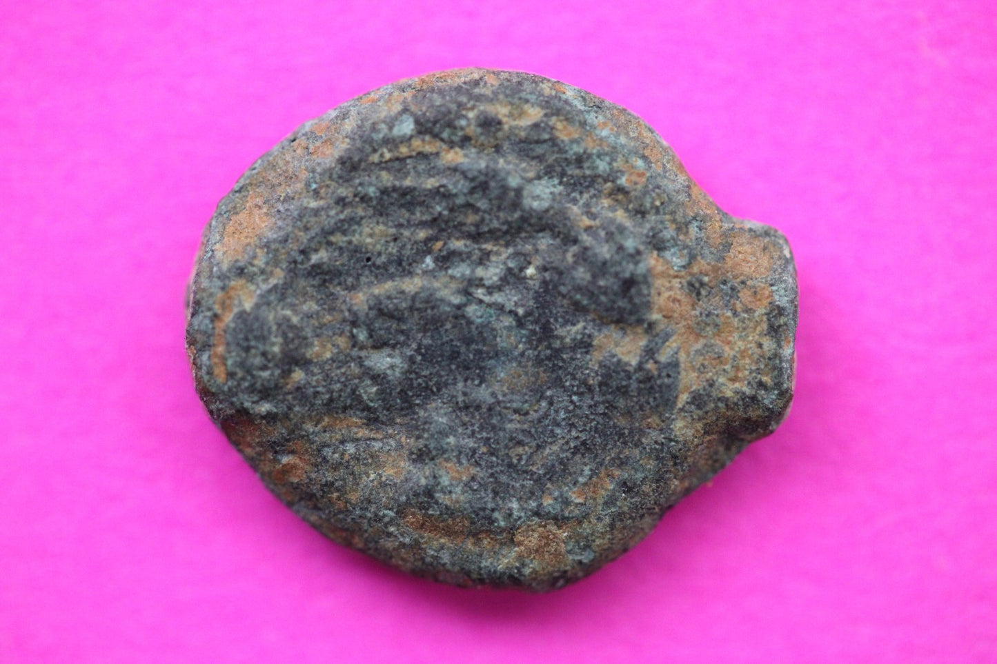 Widows Mite Coin Holy Land Artifact Free Display Frame Jesus Christ Lifetime 64