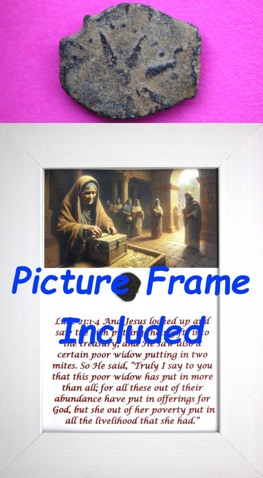 Widows Mite Coin Holy Land Artifact Free Display Frame Jesus Christ Lifetime 215