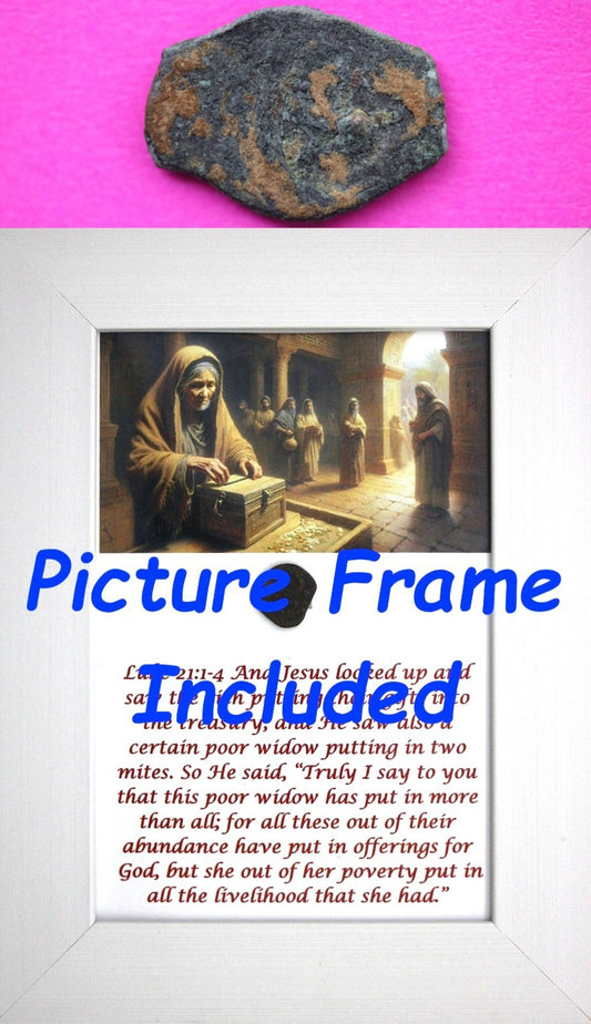 Widows Mite Coin Holy Land Artifact Free Display Frame Jesus Christ Lifetime 189