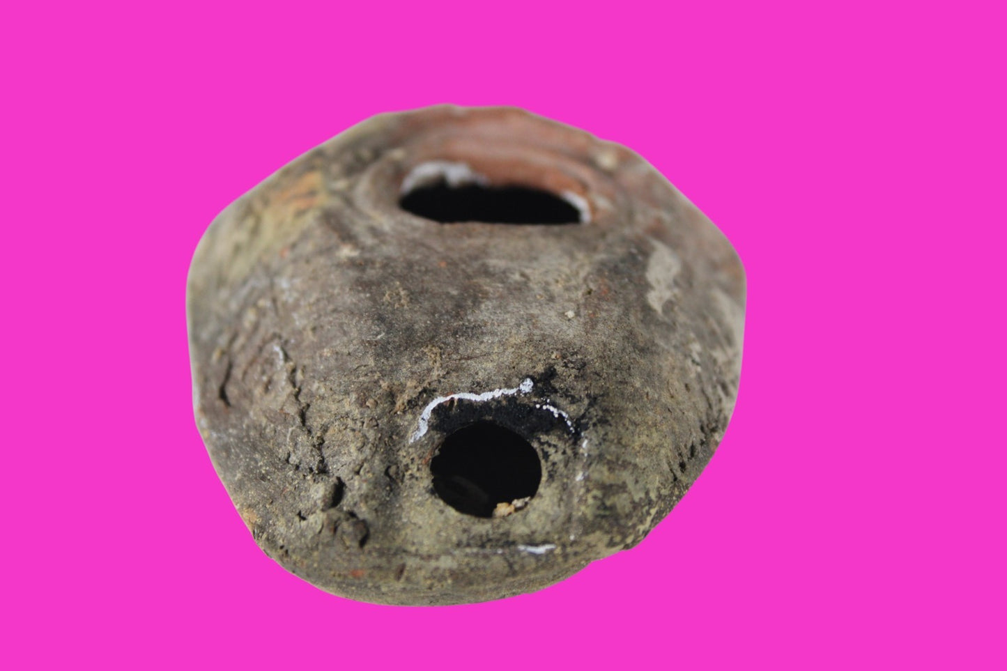 Oil Lamp Holy Land Ancient Artifact Jesus Christ Home Israel 300-600 AD COA 120