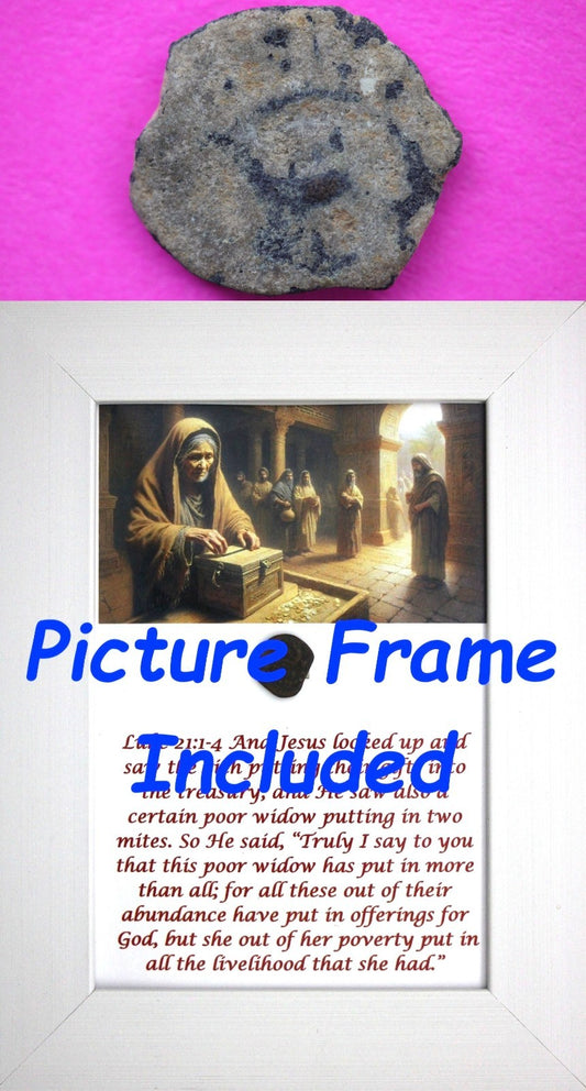 Widows Mite Coin Holy Land Artifact Free Display Frame Jesus Christ Lifetime 56