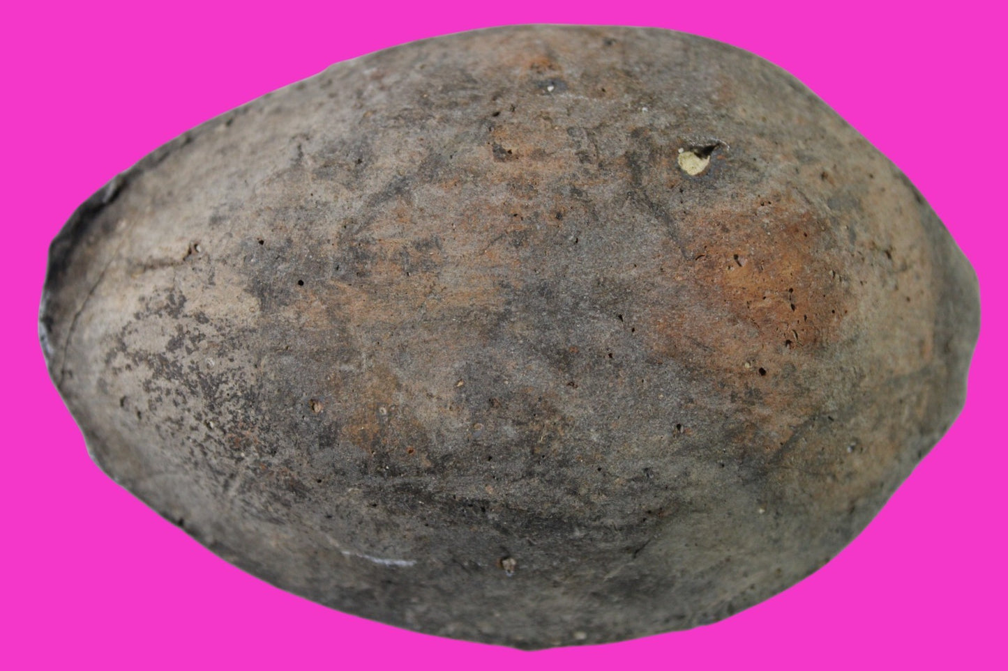 Oil Lamp Holy Land Ancient Artifact Jesus Christ Home Israel 300-600 AD COA 84