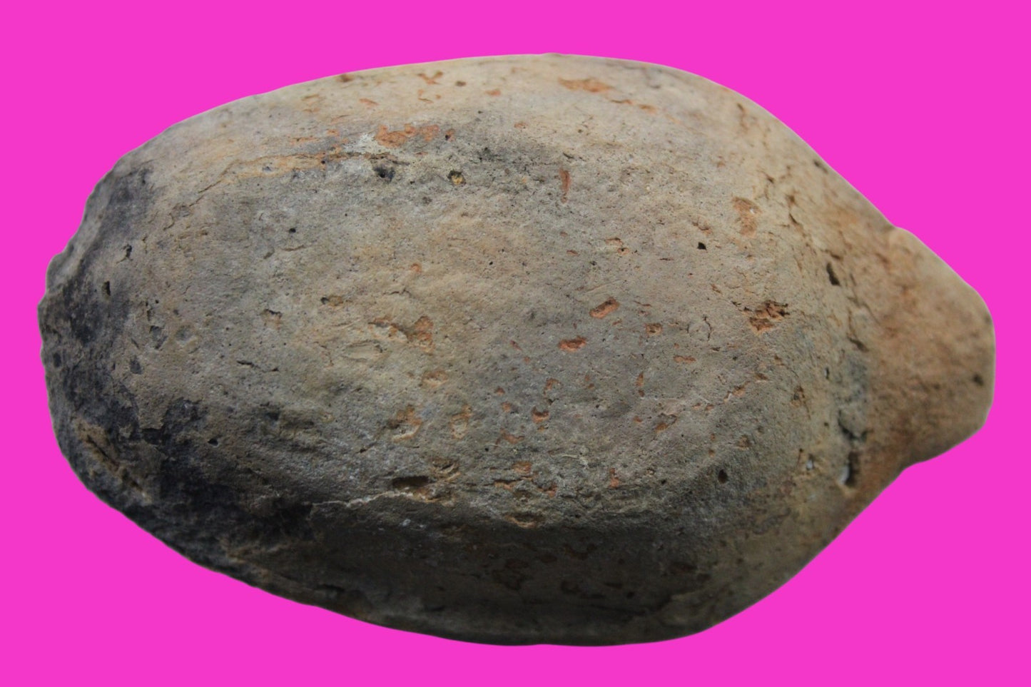 Oil Lamp Holy Land Ancient Artifact Jesus Christ Home Israel 300-600 AD COA 70