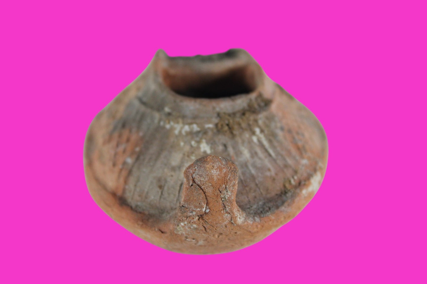 Oil Lamp Holy Land Ancient Artifact Jesus Christ Home Israel 300-600 AD COA 110