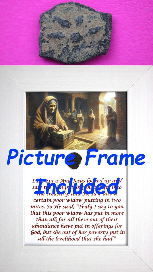 Widows Mite Coin Holy Land Artifact Free Display Frame Jesus Christ Lifetime 33