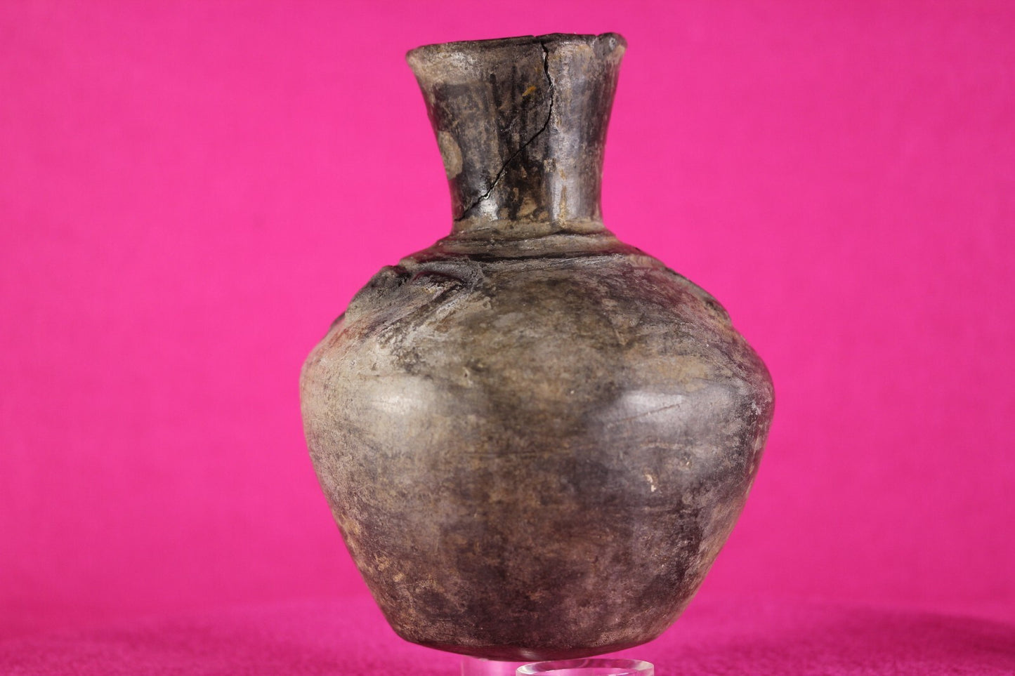 Pre Columbian Artifact Authentic Moche Frog Pottery Jar 100-800 AD Peru COA J60