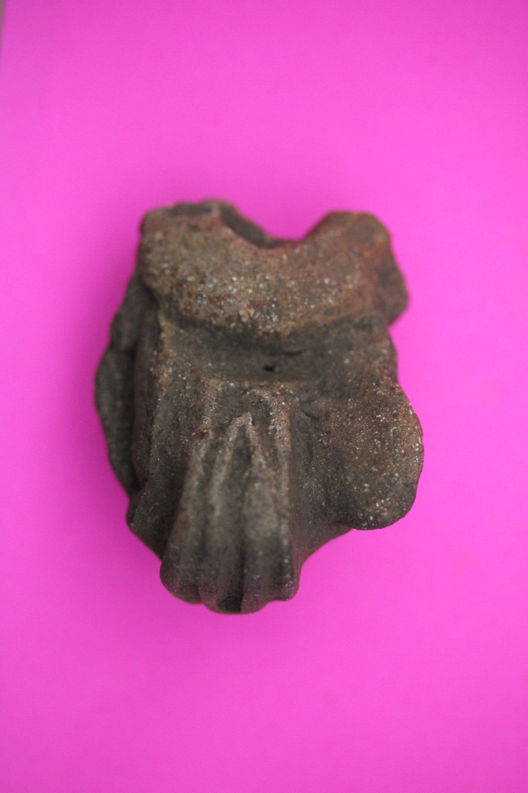 Puerto Rico Taino Pre Columbian Pottery Artifact FREE Display Case 1000AD COA 14