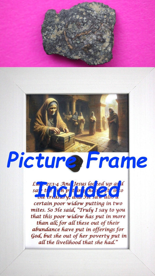 Widows Mite Coin Holy Land Artifact Free Display Frame Jesus Christ Lifetime 155