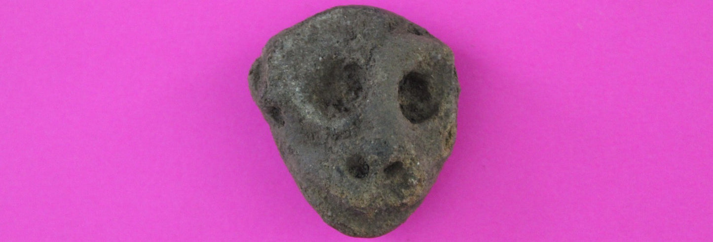 Puerto Rico Taino Pre Columbian Pottery Artifact FREE Display Case 1000AD COA 70