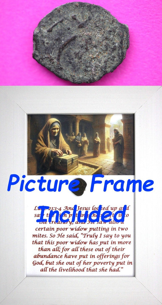 Widows Mite Coin Holy Land Artifact Free Display Frame Jesus Christ Lifetime 98