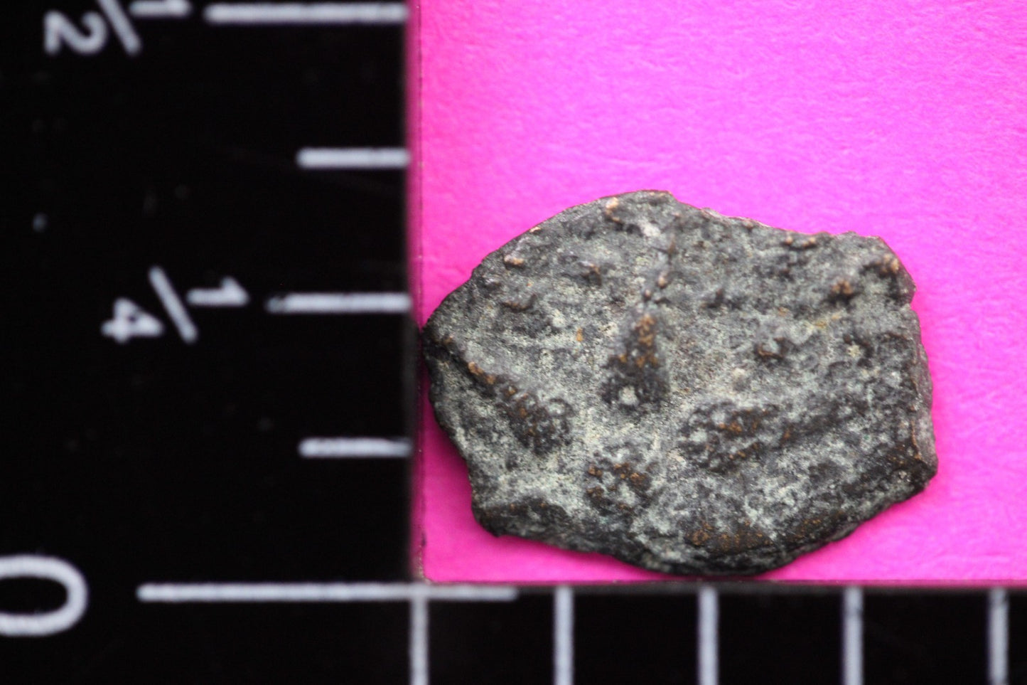 Widows Mite Coin Holy Land Artifact Free Display Frame Jesus Christ Lifetime 152