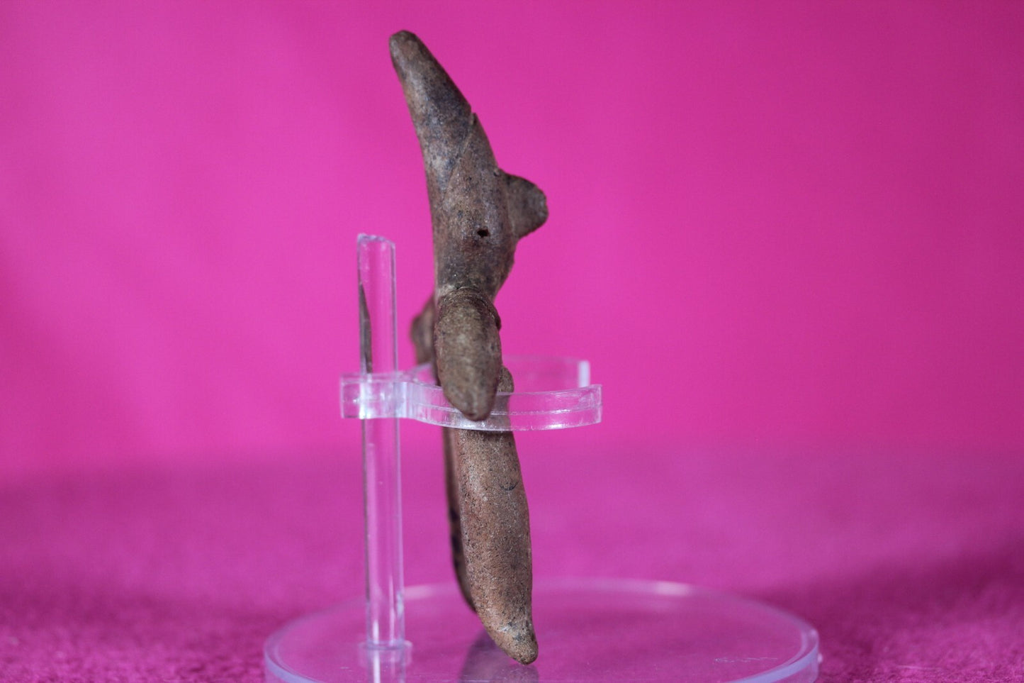 Authentic Pre Columbian Artifact Archaic Tomb Figure Colima Mexico 100BC COA 135