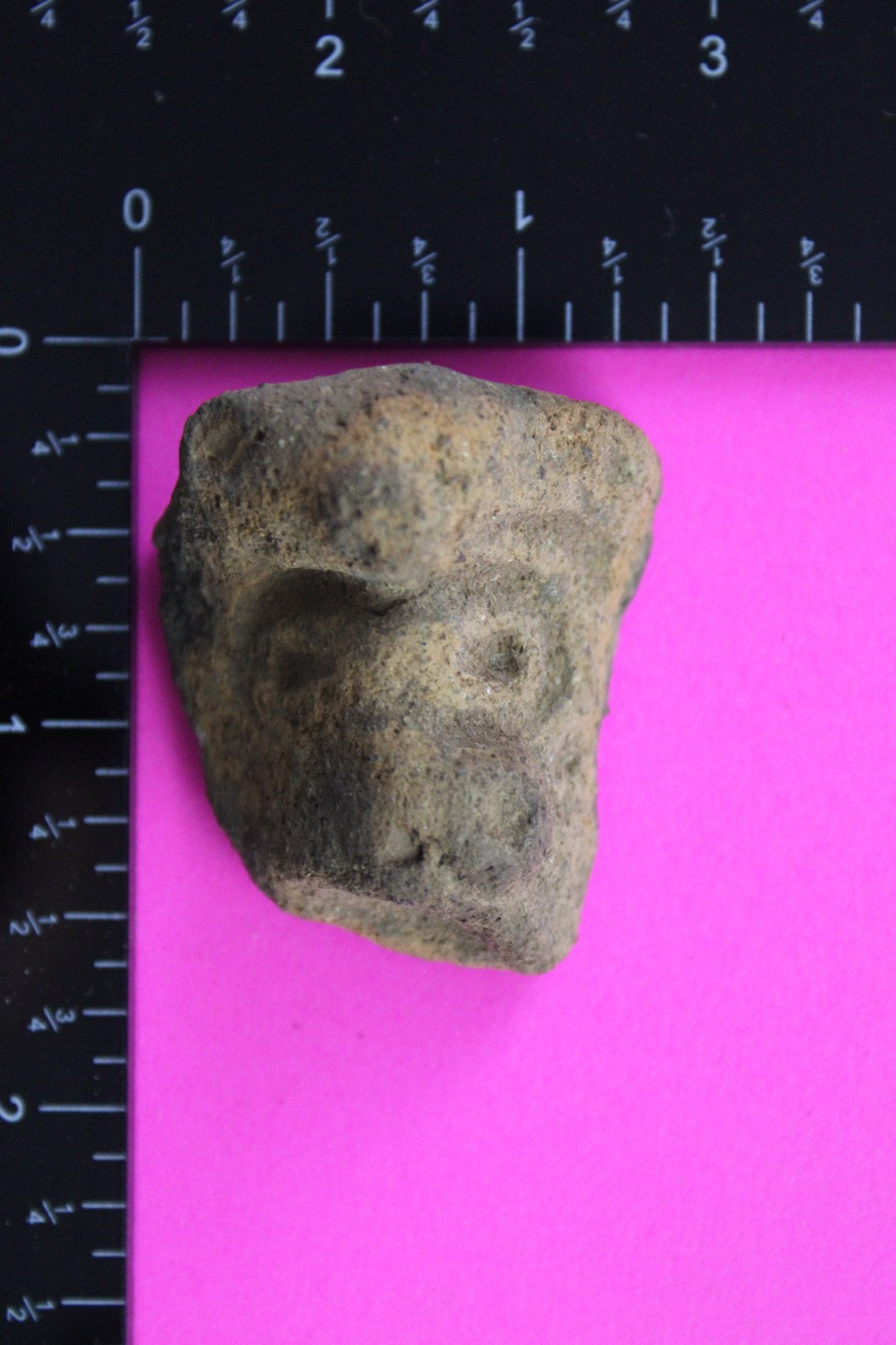 Puerto Rico Taino Pre Columbian Pottery Artifact FREE Display Case 1000AD COA 50