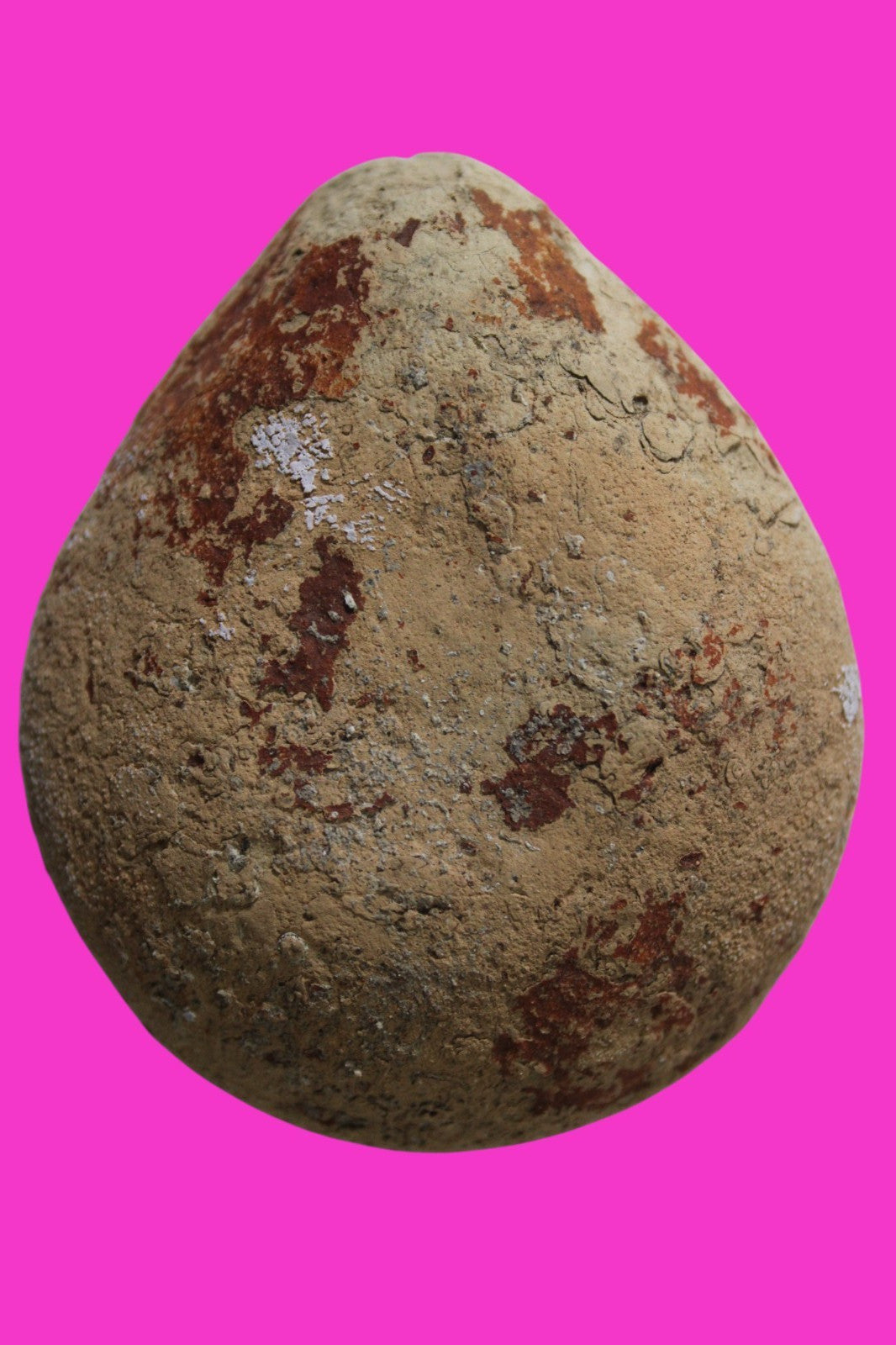 Ancient Holy Land Oil Lamp Artifact Jesus Christ Homeland 100BC-400AD COA 24