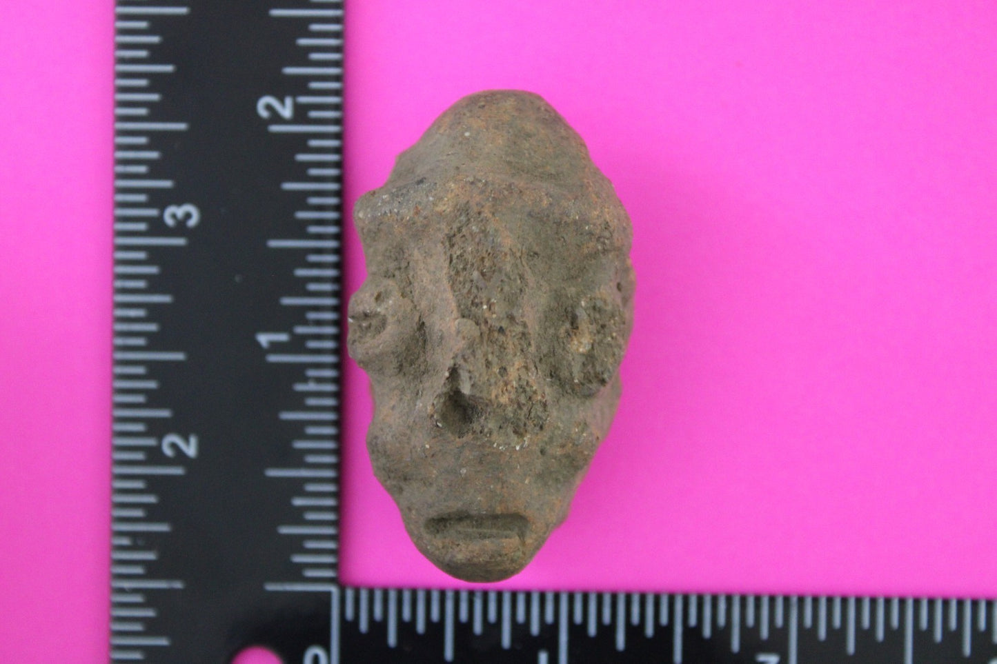 Puerto Rico Taino Pre Columbian Pottery Artifact FREE Display Case 1000AD COA 79