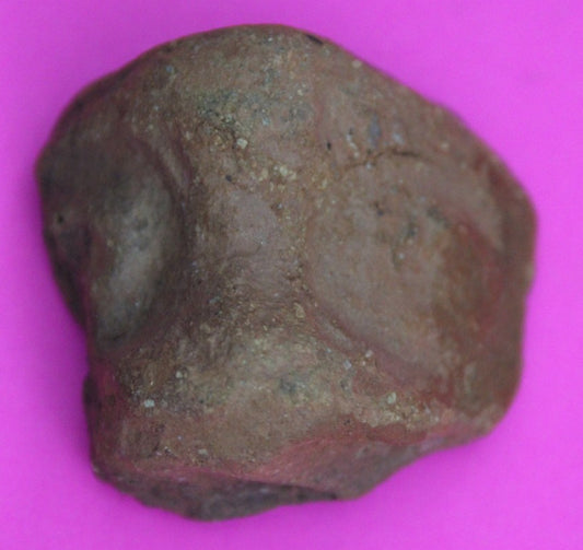 Puerto Rico Taino Pre Columbian Pottery Artifact FREE Display Case 1000AD COA 03