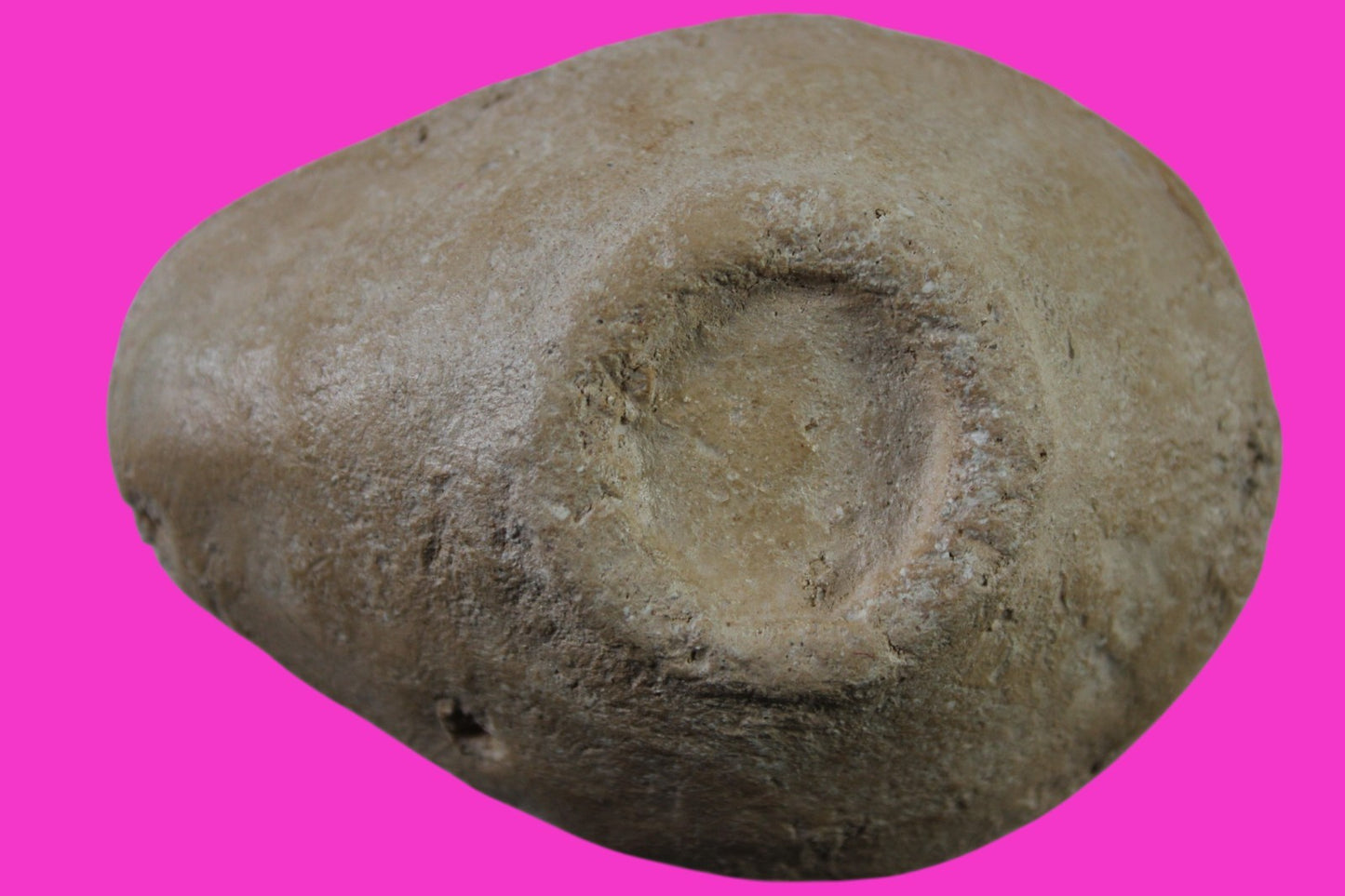 Ancient Holy Land Oil Lamp Artifact Jesus Christ Homeland 100 - 400 AD COA L12