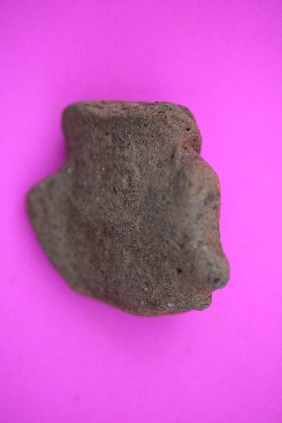 Puerto Rico Taino Pre Columbian Pottery Artifact FREE Display Case 1000AD COA 25