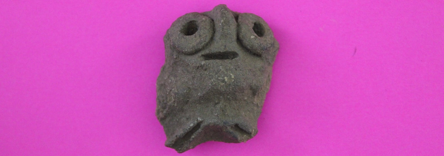 Puerto Rico Taino Pre Columbian Pottery Artifact FREE Display Case 1000AD COA 68