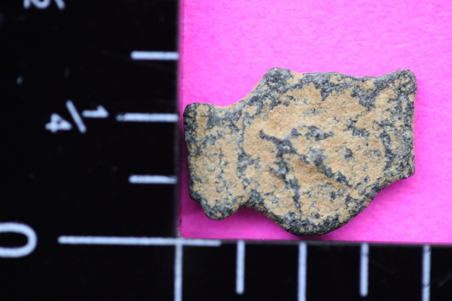 Widows Mite Coin Holy Land Artifact Free Display Frame Jesus Christ Lifetime 111