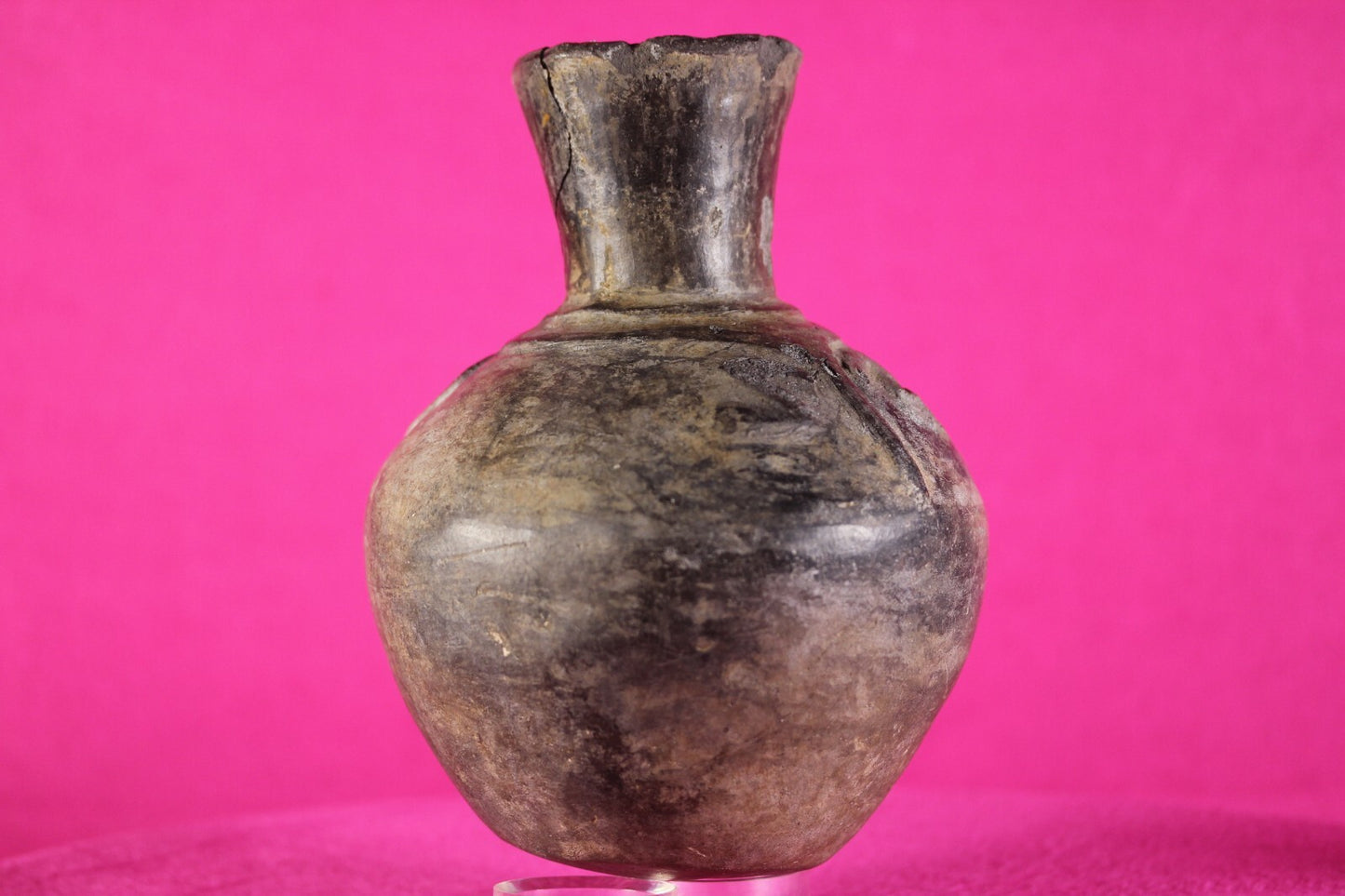 Pre Columbian Artifact Authentic Moche Frog Pottery Jar 100-800 AD Peru COA J60