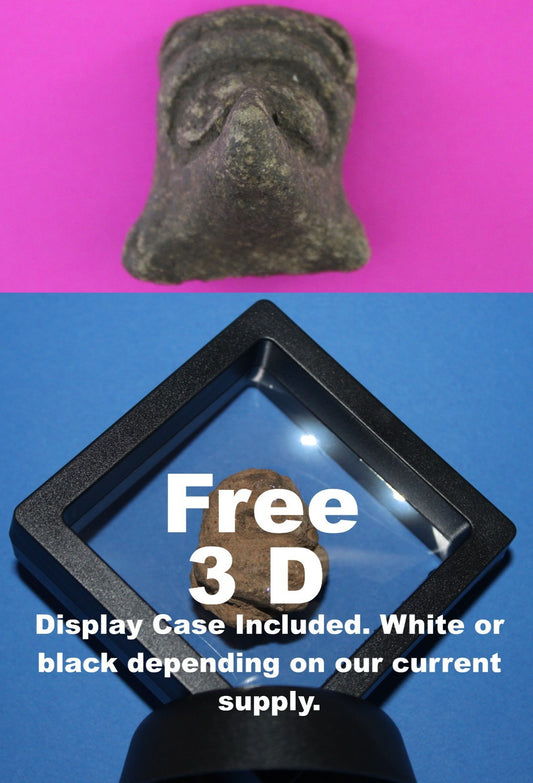 Puerto Rico Taino Pre Columbian Pottery Artifact FREE Display Case 1000AD COA 81