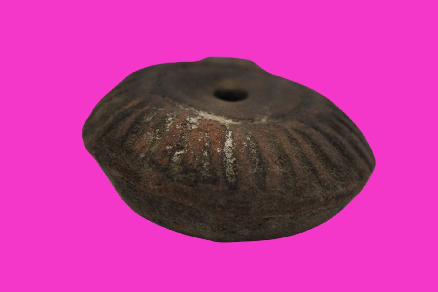 Ancient Holy Land Oil Lamp Artifact From Jesus Christ Home Land 100-500AD COA 60