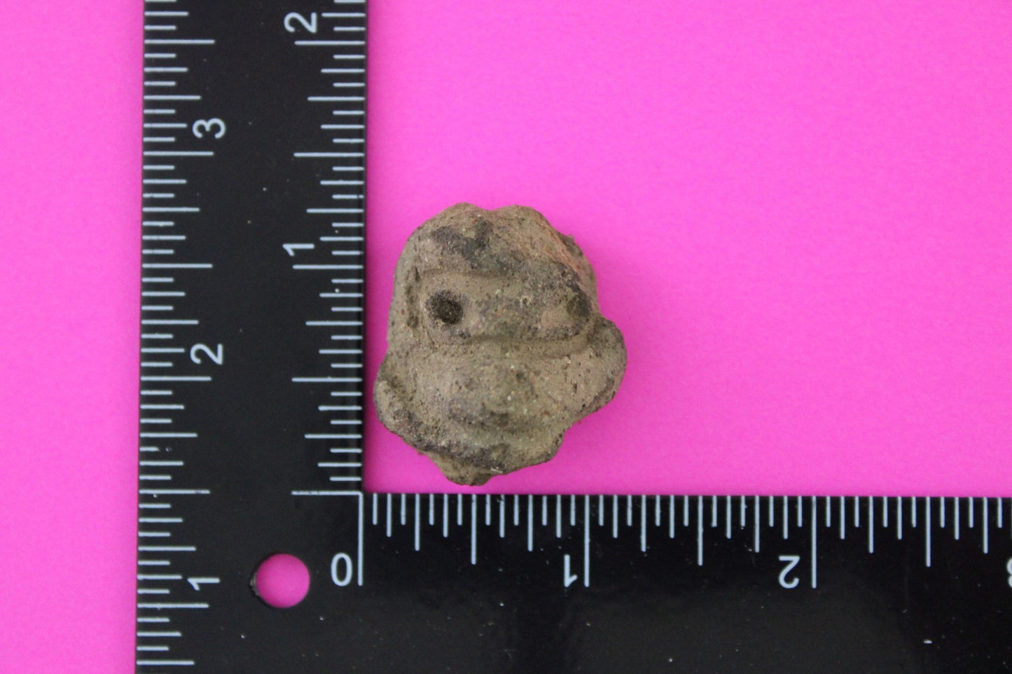 Puerto Rico Taino Pre Columbian Pottery Artifact FREE Display Case 1000AD COA 30