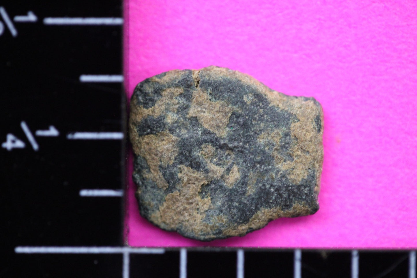 Widows Mite Coin Holy Land Artifact Free Display Frame Jesus Christ Lifetime 54